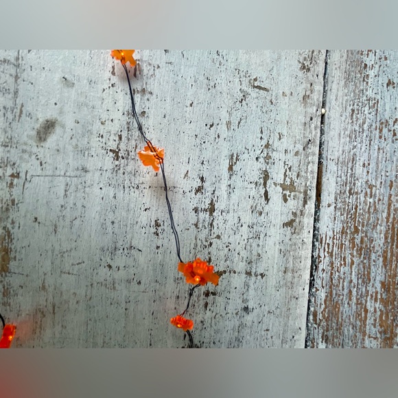 *Leaf Wire Lights With Timer - Picture 8 of 15